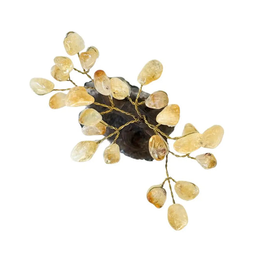 Feng Shui Money Tree - Citrine