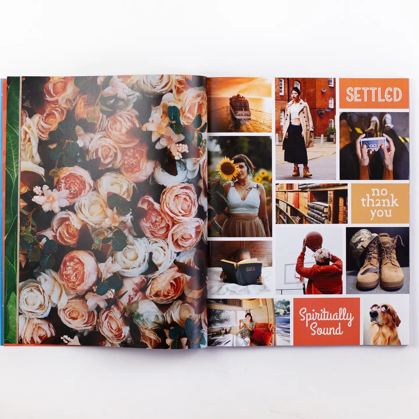 The Vision Board Book: 700+ Words & Images