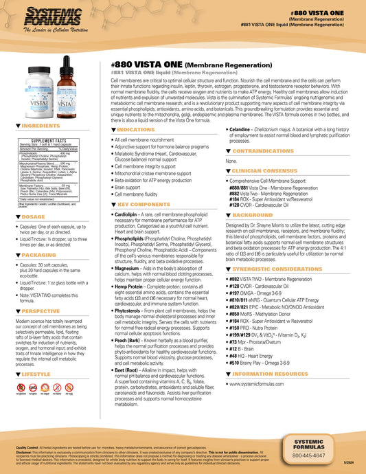 VistaOne - Membrane Regeneration Liquid