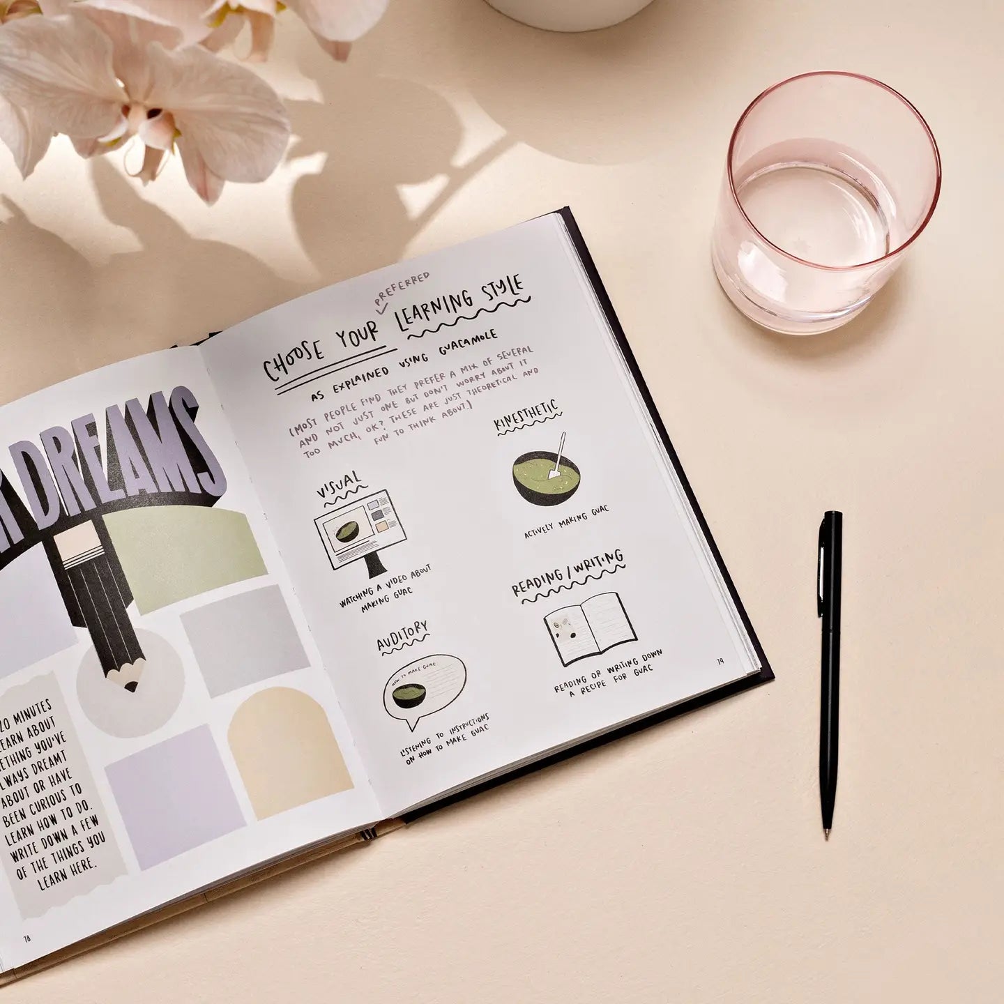 The Happy Homebody: A Field Guide To the Great Indoors
