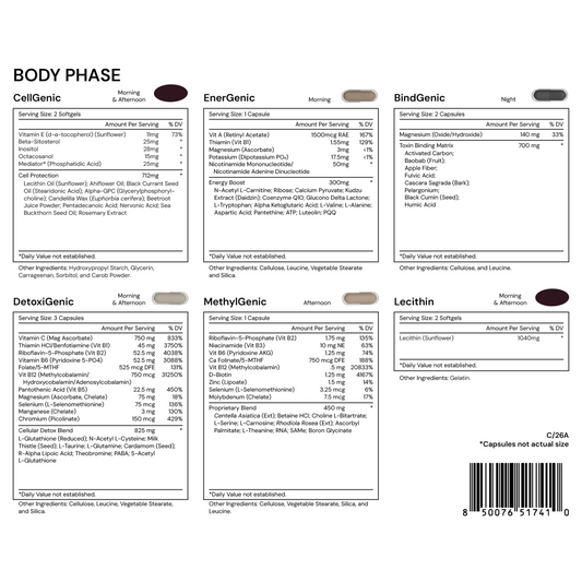 Body Phase