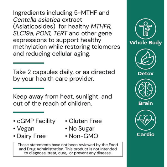 MethylGenic