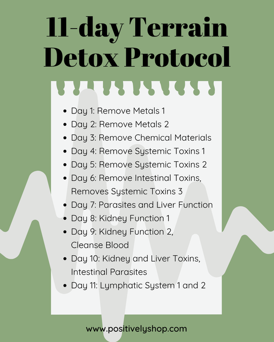 11-day Body Reset and Frequency Alignment Protocol