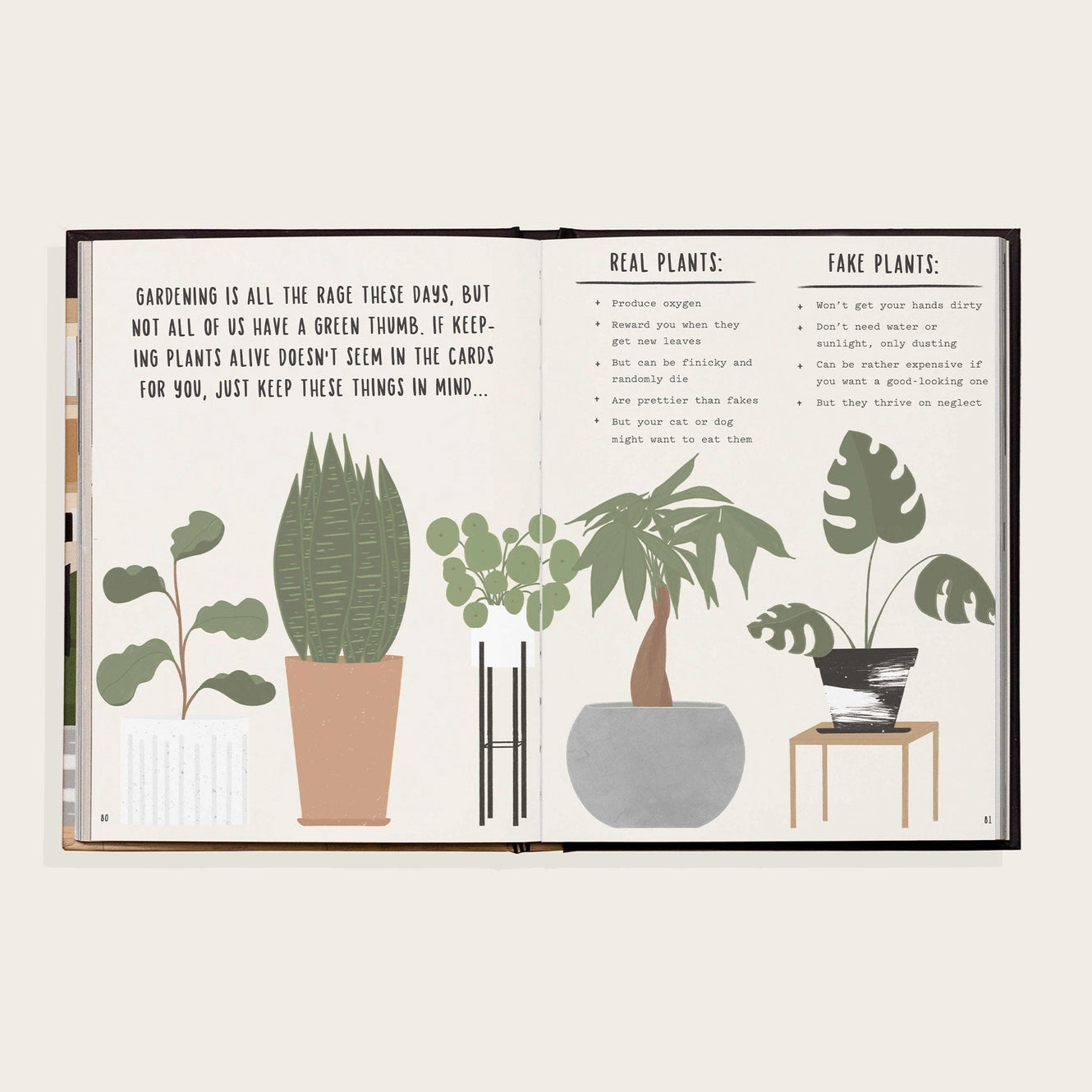 The Happy Homebody: A Field Guide To the Great Indoors