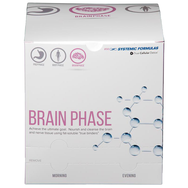 Complete Brain Phase