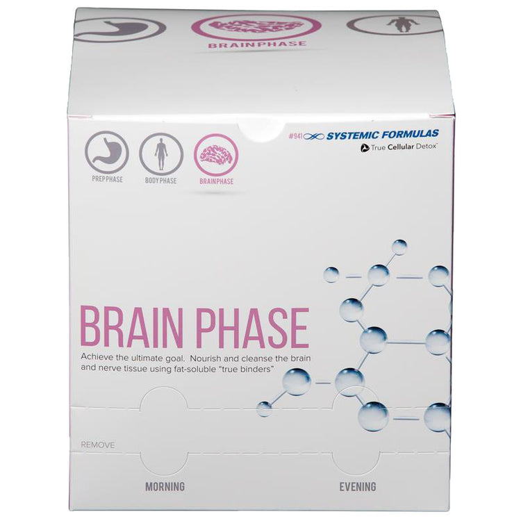 Complete Brain Phase