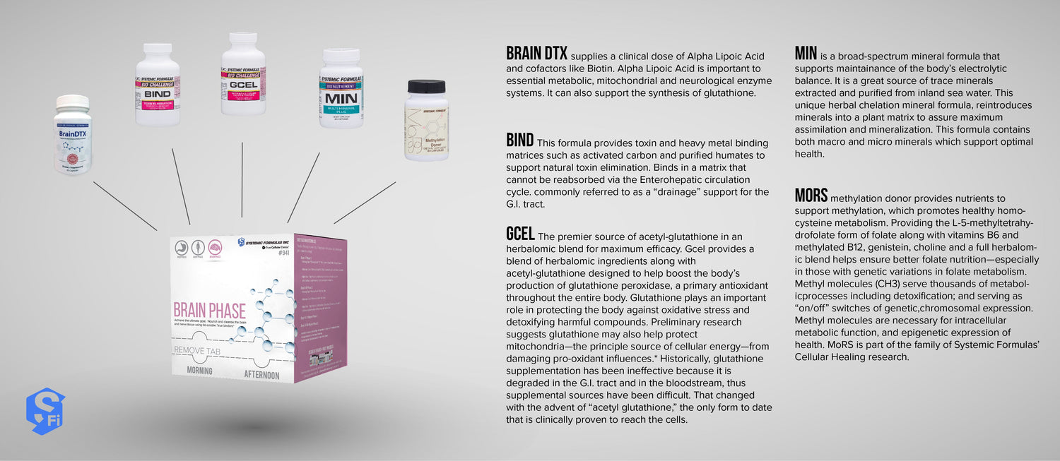 Essential Bundles