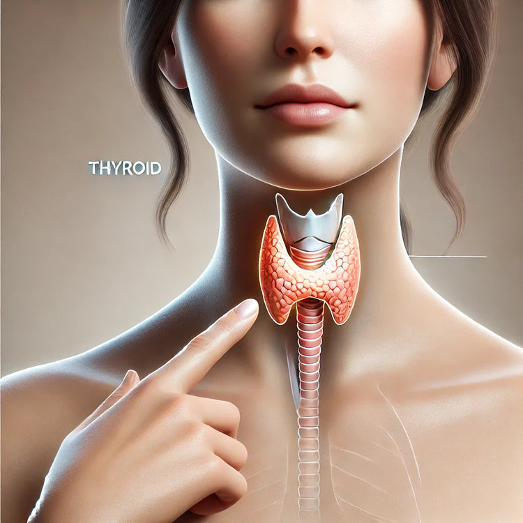 Thyroid Support