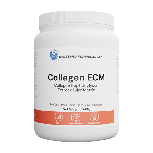 Collagen ECM