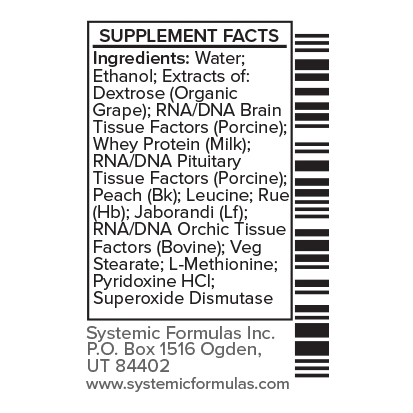 CXGb – Pituitary/Pineal