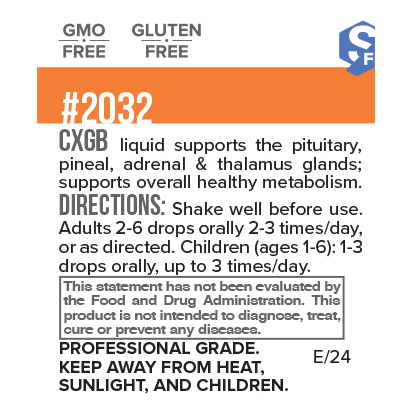 CXGb – Pituitary/Pineal