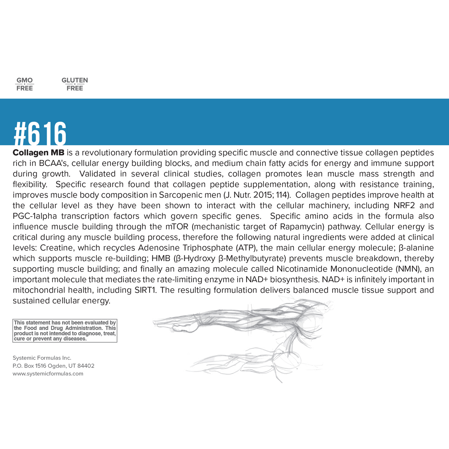 Collagen MB