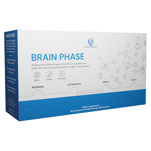Brain Phase