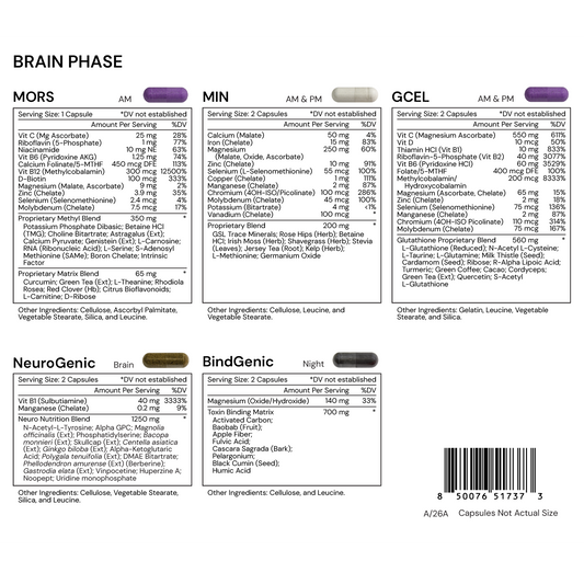 Brain Phase
