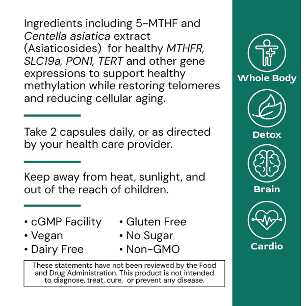 MethylGenic