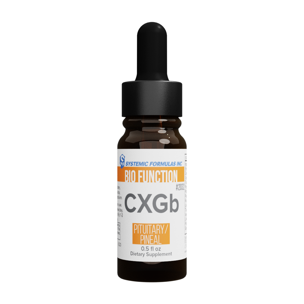 CXGb – Pituitary/Pineal