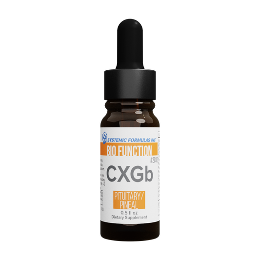 CXGb – Pituitary/Pineal