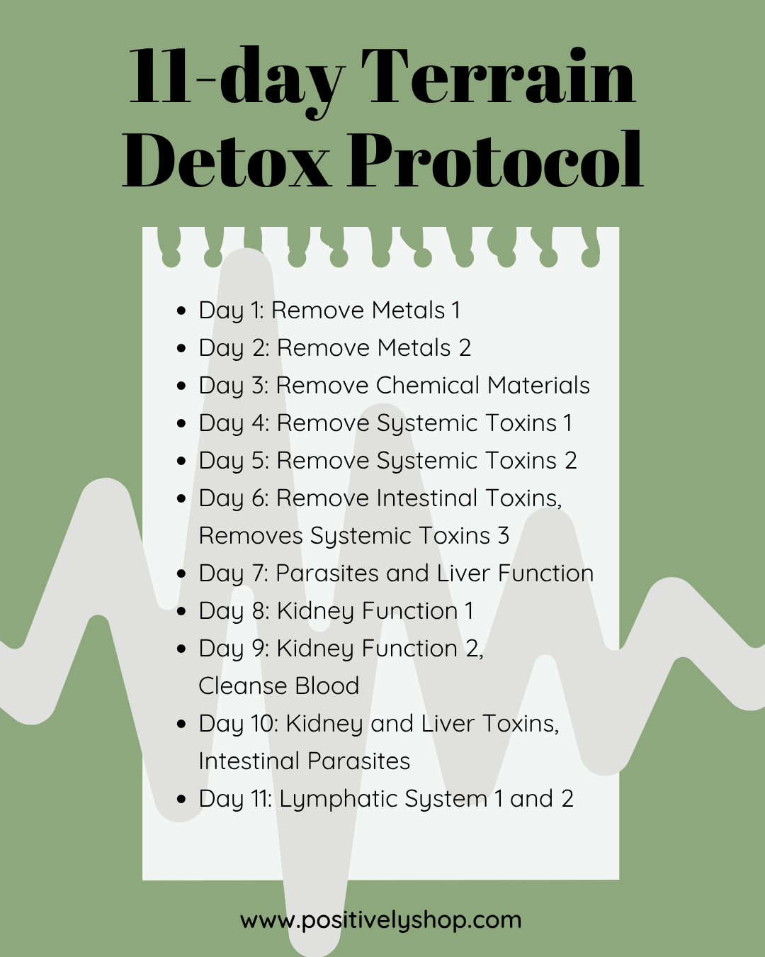 11-day Terrain Protocol Detox